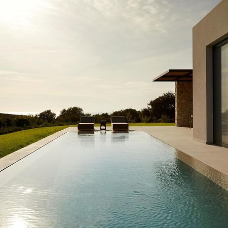 Villa Dione Kefalonian Chic Villas スパルティア エクステリア 写真