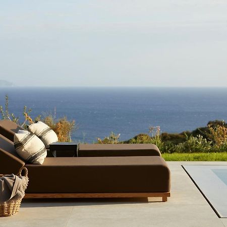 Villa Dione Kefalonian Chic Villas スパルティア エクステリア 写真