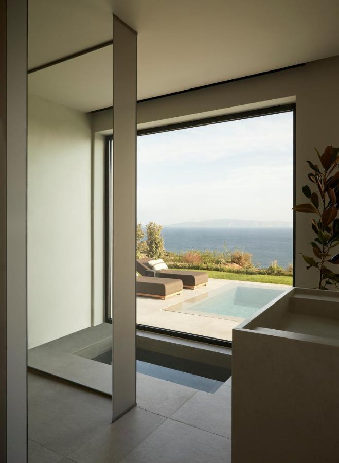 Villa Dione Kefalonian Chic Villas スパルティア エクステリア 写真