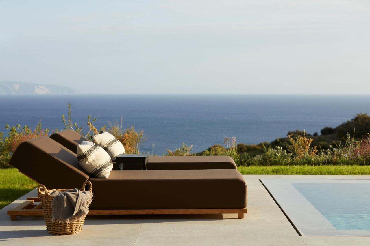 Villa Dione Kefalonian Chic Villas スパルティア エクステリア 写真